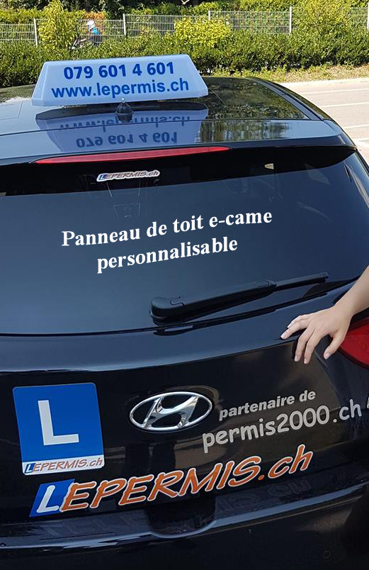 panneau de toit personnalisable