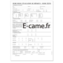 Lot de 25 fiches d'évaluation permis B